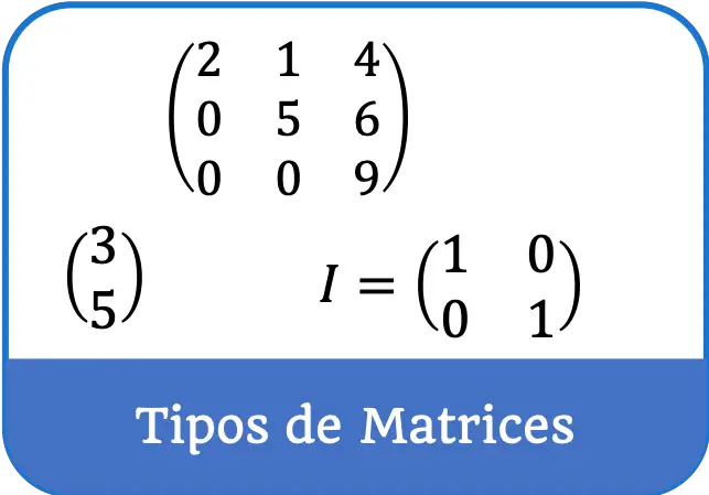 definición y tipos de matrices 